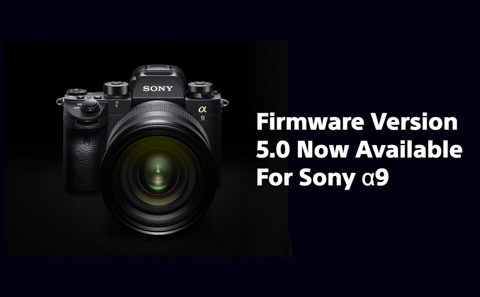 Sony A9 cap nhat firmware 5.0: Real-time tracking, cai thien workflow va chat luong anh