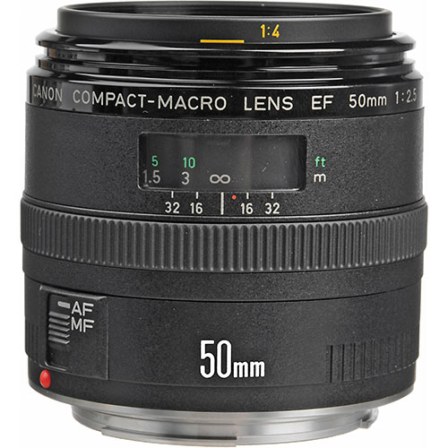 Canon EF 50mm F2.5☆撮影の幅が広がる単焦点レンズ☆ - レンズ(単焦点)