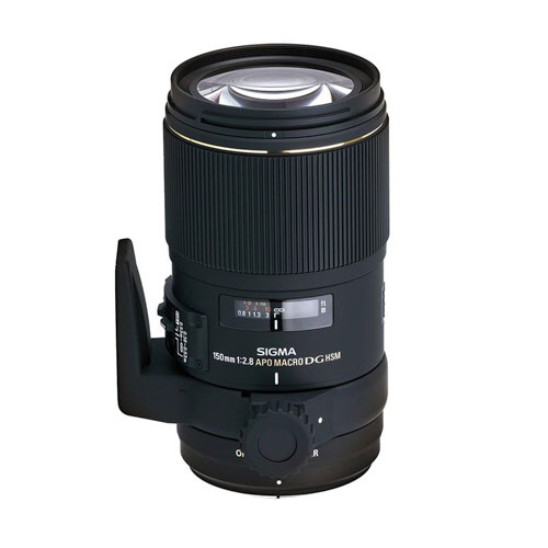 Sigma 150mm f/2.8 EX APO DG HSM Macro - Giang Duy Đạt