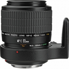 Canon MP-E 65mm f/2.8 1-5x Macro Photo