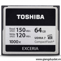 Toshiba Exceria 1000X 64GB (Read 150MB/s - Write 120MB/s)