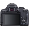 Canon EOS 850D (Rebel T8i) 2