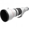 Canon RF 600mm f/4L IS USM 2