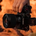 Panasonic LUMIX S 100mm F2.8 Macro 5
