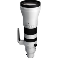 Sigma 300-600mm f/4 DG OS Sports 2