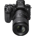 Sony FE 100mm f/2.8 Macro GM 4