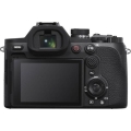 Sony RX10 V 2