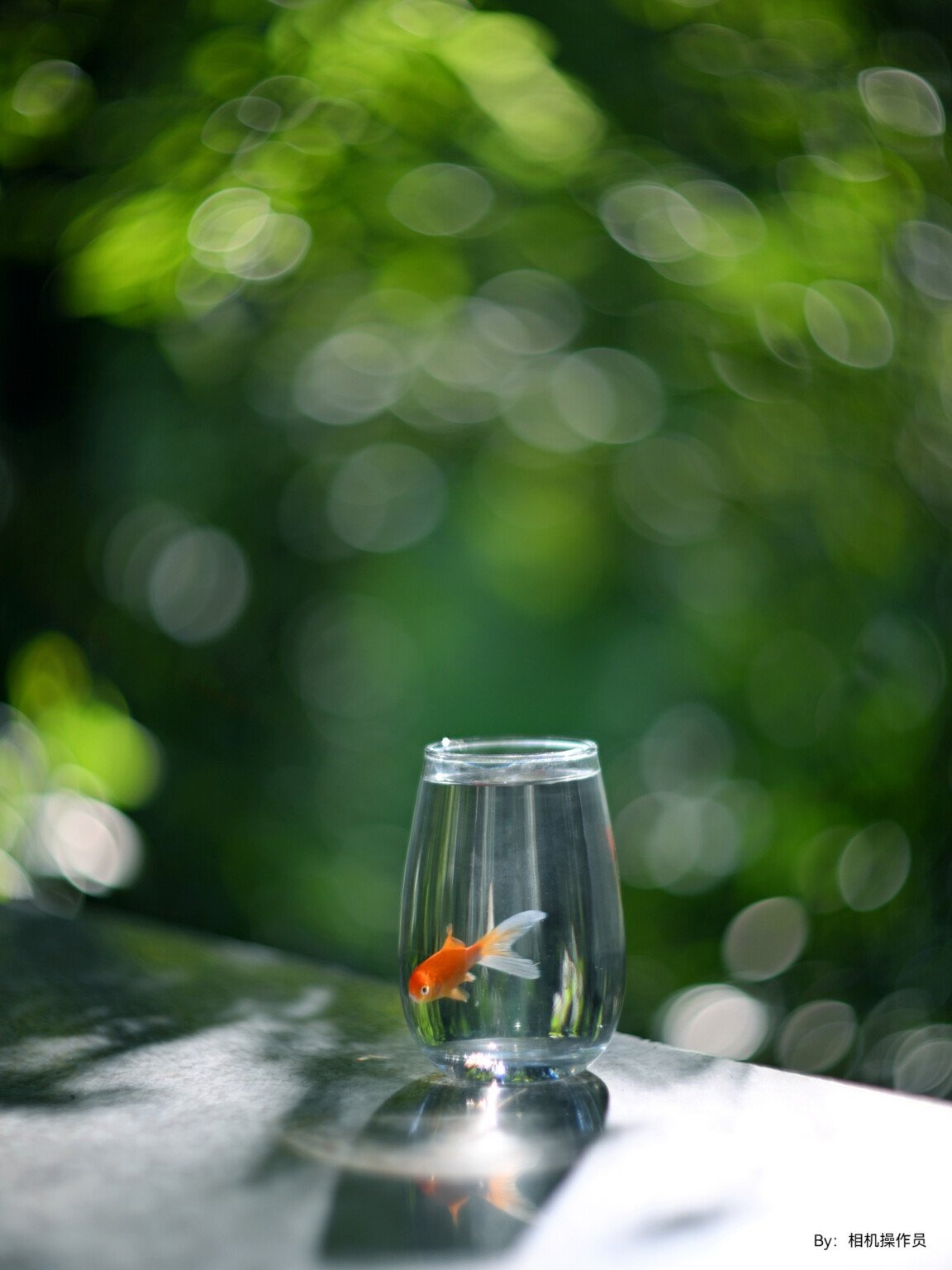 TTArtisan Obiettivo 75mm F/1.5 A Focale Manuale Per Full Frame – Effetto Bokeh Swirly Unico, Attacco M42